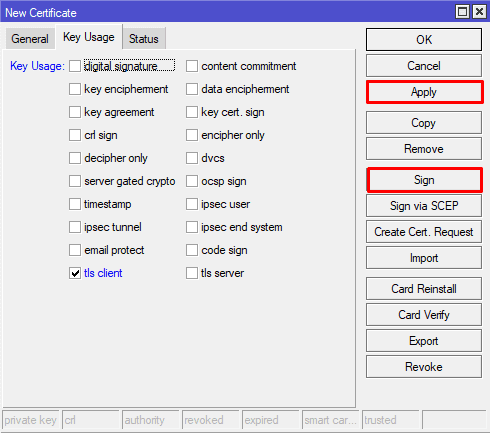 Настройка OpenVPN MikroTik, cоздание сертификата VPN клиента key usage